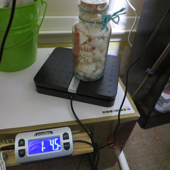 Jar of REAL white sea shells w dried red sea fan, Glass w cork lid (over 1 pound - Picture 9 of 10